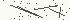 Anti Spam Image